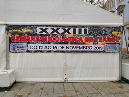 xornadas