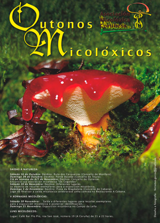xornadas