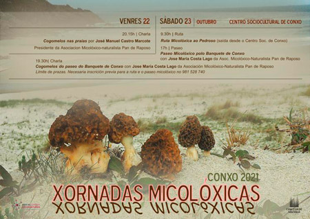 xornadas