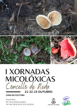 xornadas
