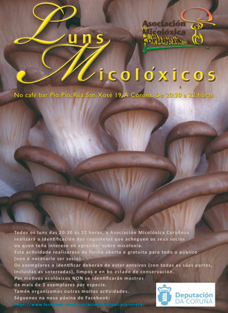 Coruñesa
