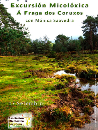 Excursión A Fraga