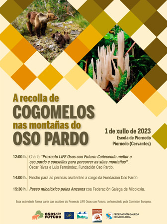 Oso Pardo