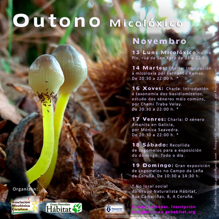 Outono Micolóxico