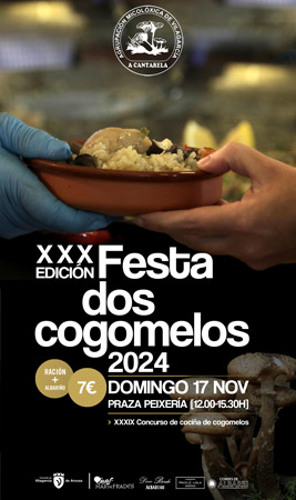 Outono Micolóxico