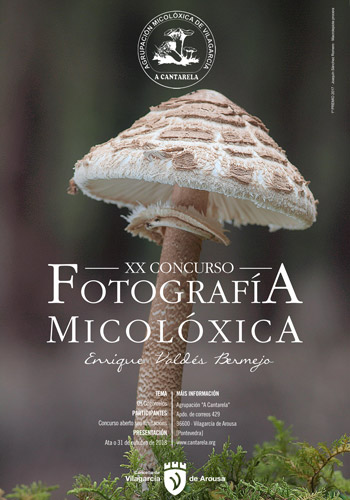XIXconcurso