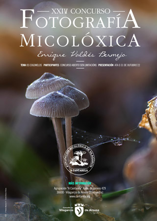 XIXconcurso