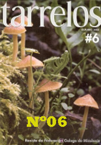 Tarrelos Nº 06