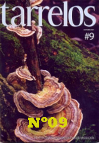 Tarrelos Nº 09