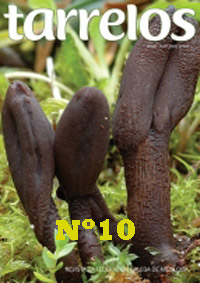 Tarrelos Nº 10