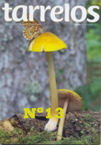 Tarrelos Nº 13
