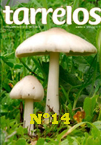 Tarrelos Nº 14