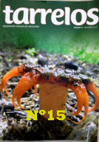 Tarrelos Nº 15