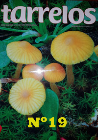 Tarrelos Nº19