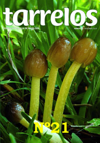 Tarrelos Nº 21